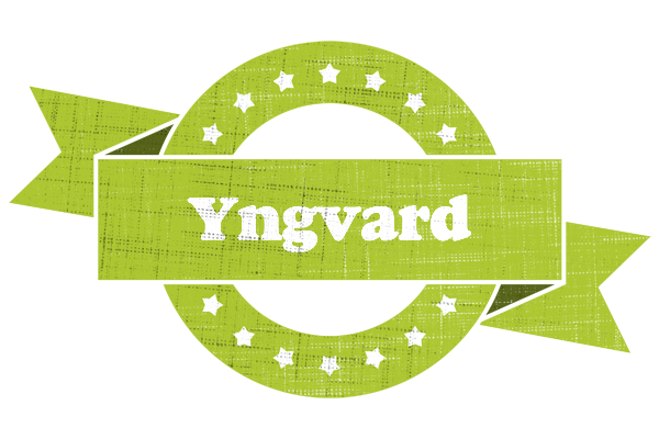 Yngvard change logo