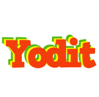 Yodit bbq logo