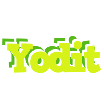 Yodit citrus logo