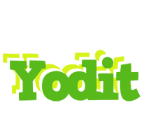 Yodit picnic logo