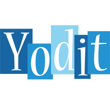 Yodit winter logo