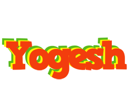 Yogesh bbq logo