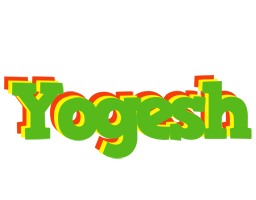 Yogesh crocodile logo