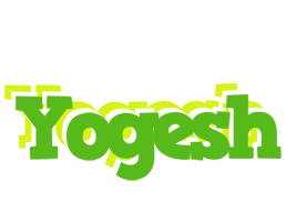 Yogesh picnic logo