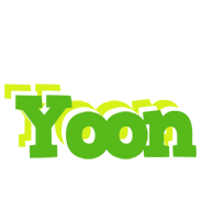 Yoon picnic logo