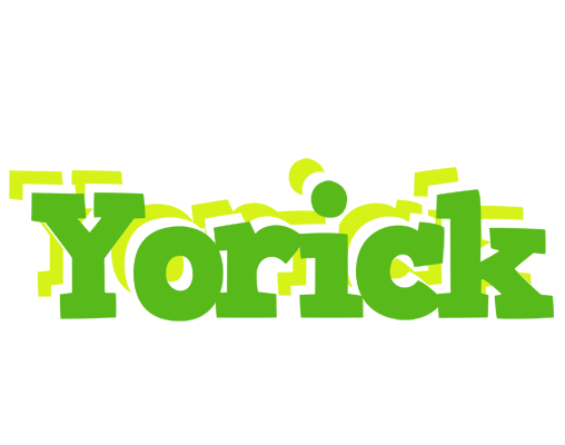 Yorick picnic logo