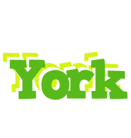 York picnic logo