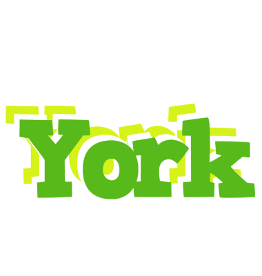 York picnic logo