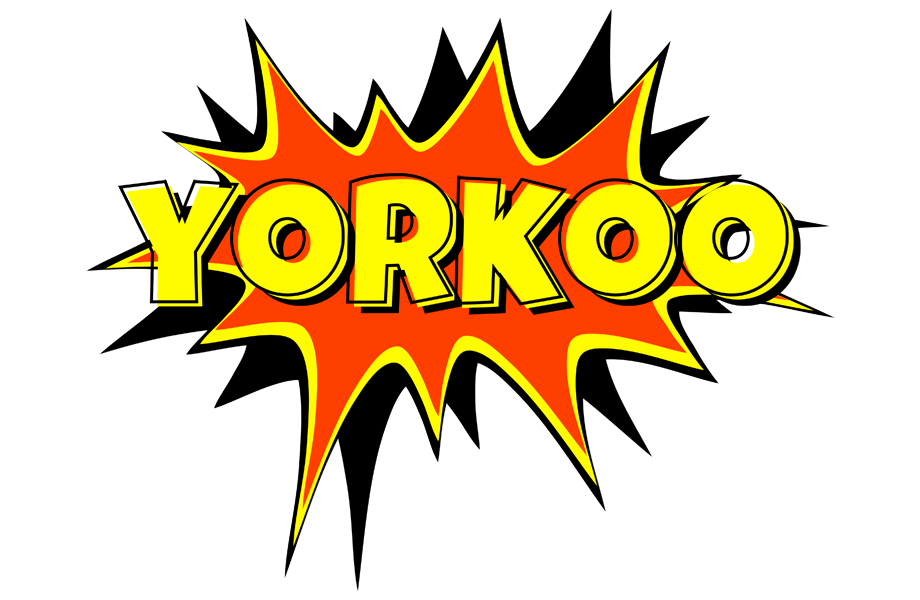 Yorkoo bazinga logo