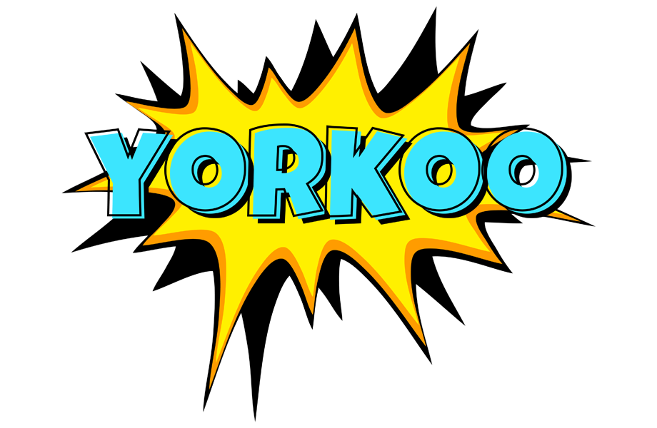 Yorkoo indycar logo