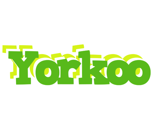 Yorkoo picnic logo