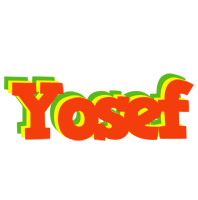 Yosef bbq logo