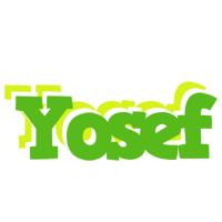 Yosef picnic logo