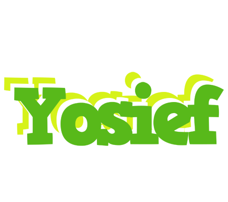 Yosief picnic logo