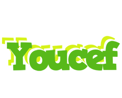 Youcef picnic logo