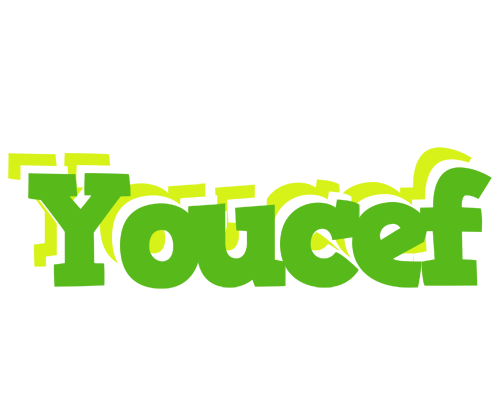 Youcef picnic logo