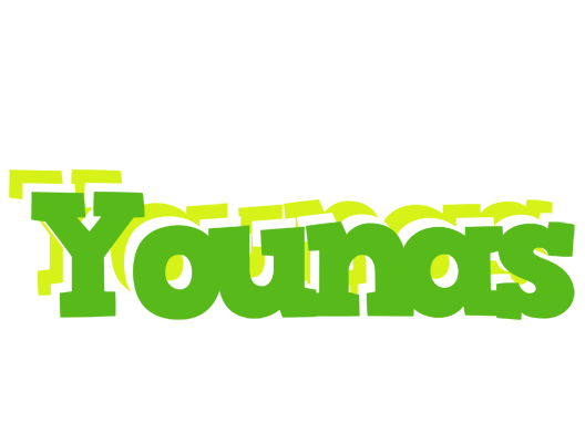 Younas picnic logo