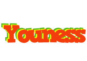 Youness bbq logo