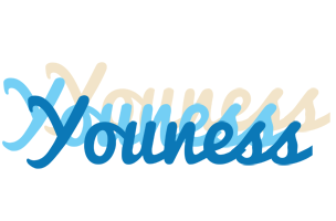 Youness breeze logo