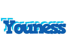 Youness business logo