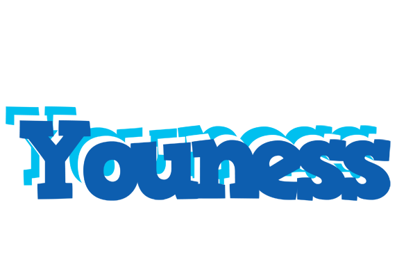 Youness business logo