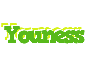 Youness picnic logo