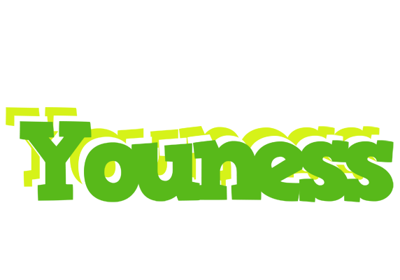 Youness picnic logo