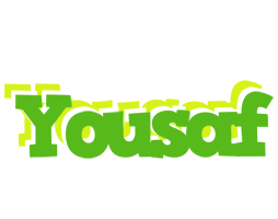 Yousaf picnic logo