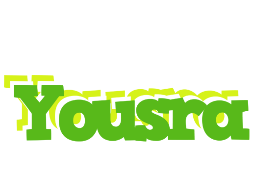 Yousra picnic logo
