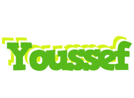 Youssef picnic logo