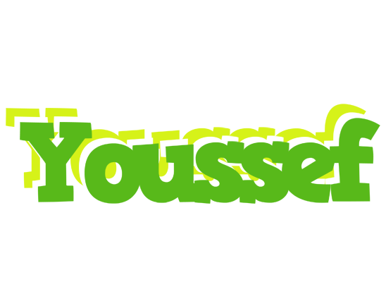 Youssef picnic logo