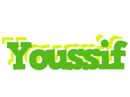 Youssif picnic logo