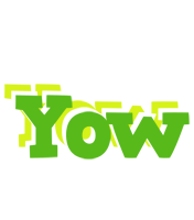 Yow picnic logo