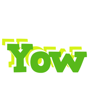 Yow picnic logo