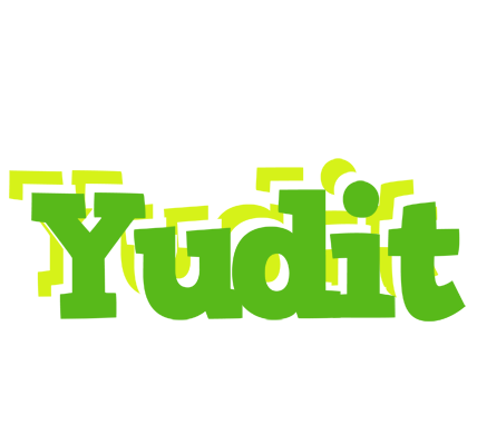 Yudit picnic logo