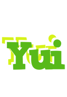 Yui picnic logo