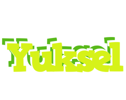 Yuksel citrus logo