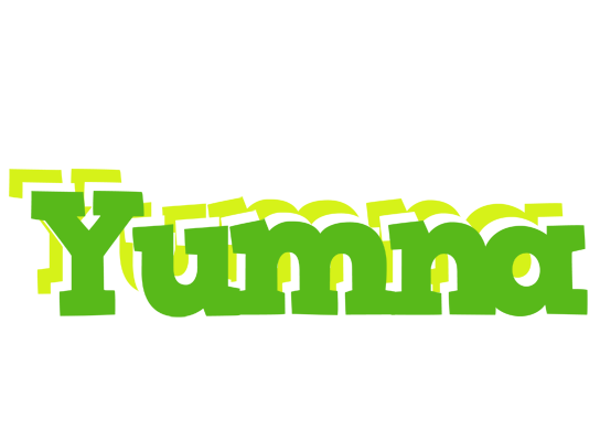 Yumna picnic logo