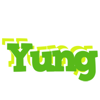 Yung picnic logo