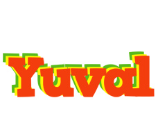 Yuval bbq logo