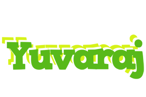 Yuvaraj picnic logo