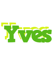 Yves picnic logo