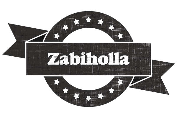 Zabiholla grunge logo