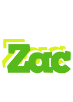 Zac picnic logo