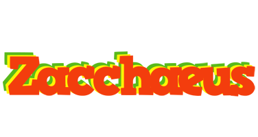 Zacchaeus bbq logo