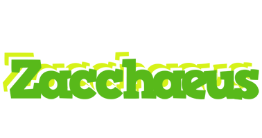 Zacchaeus picnic logo