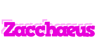 Zacchaeus rumba logo