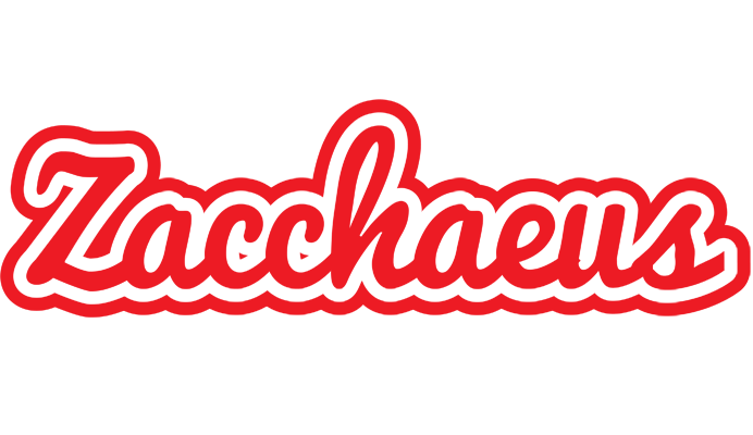 Zacchaeus sunshine logo