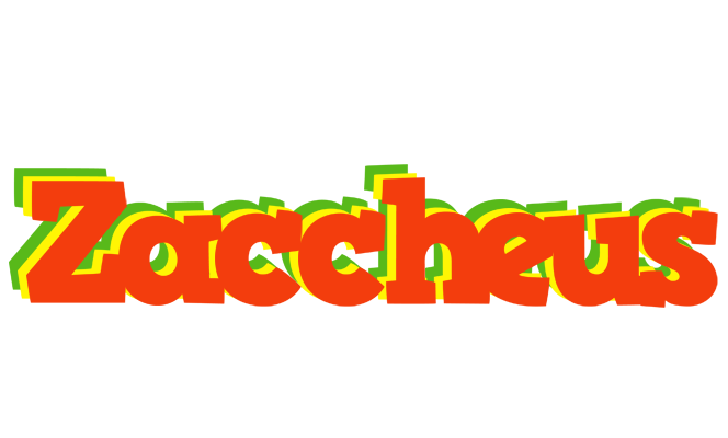 Zaccheus bbq logo