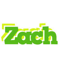 Zach picnic logo